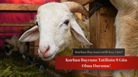 Kurban Bayramı tatili 9 gün olur mu? Son dakika bayram tatili açıklaması bekleniyor! - Haberler