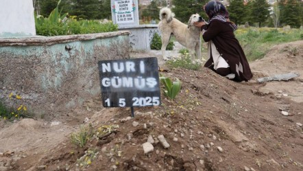 'Garip'in duygulandıran vefası! Önce anlam veremediler, sonra çok şaşırdılar - Yaşam