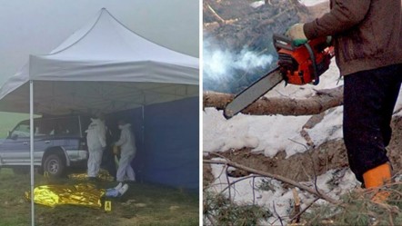 İtalya’da testereli vahşet! Oduncu feci şekilde can verdi - Dünya