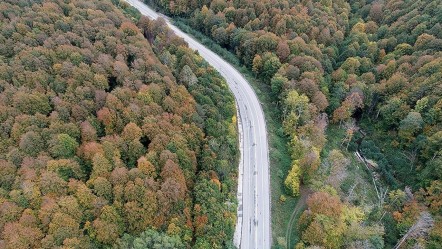 Kırklareli'nde ormanlık alanlara girişler yasaklandı - Gündem