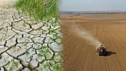 3 kentte kuraklık alarmı! 10 gün içinde yağmur yağmazsa çiftçi iflas edecek - Ekonomi