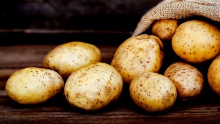 İki bin tonu aşkın ithal patates virüslü çıktı! İskoçya, Hollanda, Almanya... - Gündem
