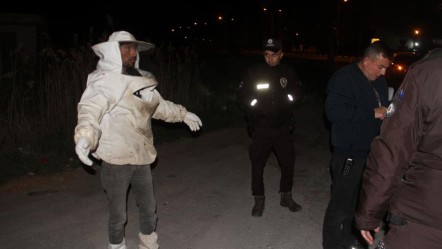 Konya'da kovan yüklü kamyonet devrildi! Arılar 1 polisi hastanelik etti - 3. Sayfa