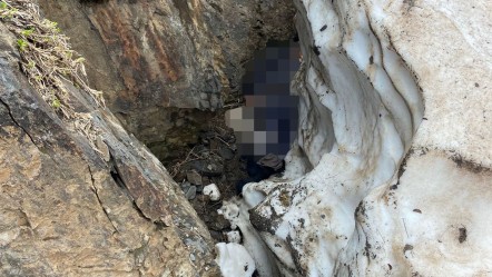 Pancar için gitti, dönemedi: Yaşlı kadın dağda can verdi - 3. Sayfa
