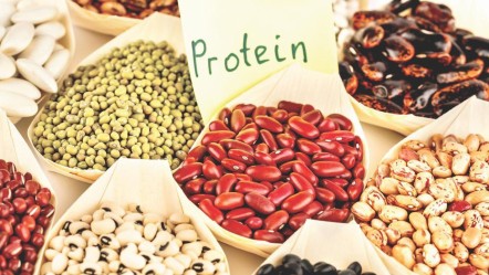 Uzun ömürle bağlantılı çıktı! Proteini etten mi nohuttan mı alalım? - Sağlık