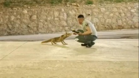 Adana onların dostluğunu konuşuyor! Her gün yanına geliyor, elleri ile besliyor... - Yaşam