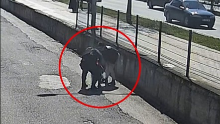 Ordu'da jandarmadan kritik müdahale! Küçük çocuğun hayatını kurtardı - Yaşam