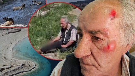 Salda'da korkunç saldırı! Yaşlı adamı başıboş köpekler parçaladı, o anları anlatırken isyan etti - Gündem