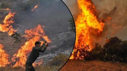 Suriye'de korkutan orman yangını! Alevler hızla büyüyor, havadan söndürme imkanı yok... - Gündem