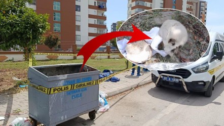Adana'da korkunç olay! Çöp konteynerinden kafatası çıktı - 3. Sayfa