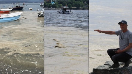 'Marmara mücevheri' felaket saçıyor! Ülkenin dörtte birini ilgilendiriyor: Kabus geri döndü - Gündem