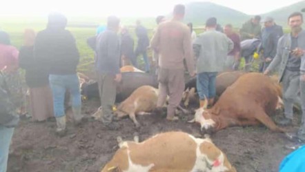 Sürüyü otlatırken üzerlerine yıldırım düştü! 2 çoban yaralı, 10 büyükbaş hayvan telef oldu - 3. Sayfa