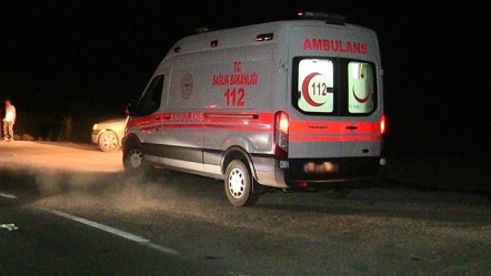 İsabet eden yıldırım, çoban kardeşleri ayırdı - 3. Sayfa
