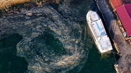İstanbul'u bir tehlike daha bekliyor: Marmara Denizi zehir kanalına dönüştü - Gündem