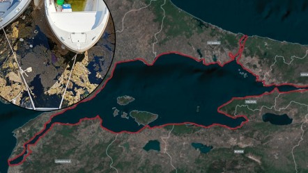Marmara Denizi'nde gizemli tabaka! Suyun üzerinde görüldü, öbekler halinde - Haberler