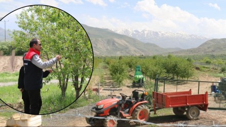 Rektum cerrahından organik vişne üreticiliğine: Erzincan'da ilham veren başarı - Yaşam