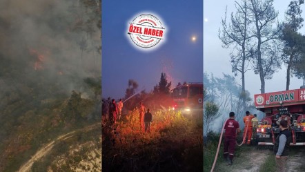 Türkmen Dağı yanıyor! Esad rejimi kalıntılarının Suriye ve Türkiye'yi tehdit eden sabotaj planı ifşa oldu - Dünya