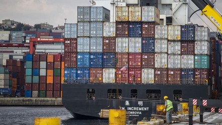5 bin ithal ürüne ‘standart’ engeli! TSE denetimini geçemediler  - Ekonomi