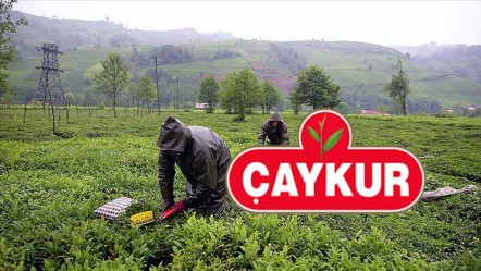 ÇAYKUR işçi alımı kura çekilişi ne zaman, saat kaçta? Başvurular bugün sona eriyor! - Haberler