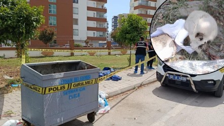 Çöpteki kafatasından 31 yıllık mazi çıktı! Eşinin yaptığı temizlik başına bela oldu - 3. Sayfa