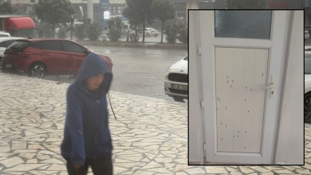 Ev sahibini şoke eden olay! Bahar ayında bu da oldu! Balkon kapısını deldi geçti - Yaşam