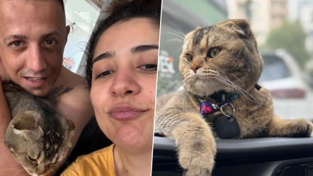 Kedisi kaybolan Zeynep Eğri'nin gözyaşları: Kocam beni boşayacak - 3. Sayfa