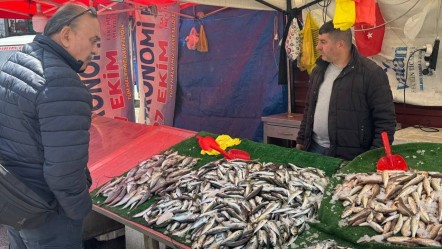 Palamut, mezgit, istavrit ve hamsi... Vatandaş ucuz balığa doyacak - Ekonomi