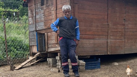 Sahipsiz köpekler saldırdı, hayvanlarının önünde kalakaldı - Yaşam