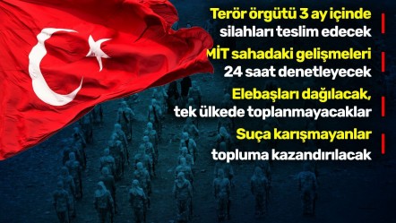 'Terörsüz Türkiye' için ikinci aşamaya geçiliyor! PKK dört aşamada tasfiye edilecek - Gündem
