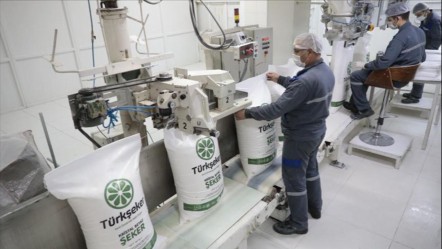 Türk Şeker kura sonuçları açıklandı mı? 1685 işçi alımı için gözler Türk Şeker kura çekiminde! - Haberler