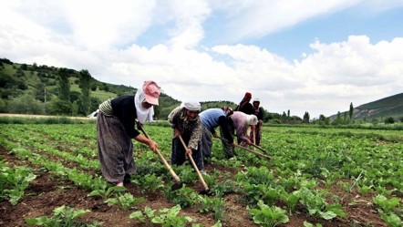 Anadolu'nun toprakları bereket saçıyor! Türk çiftçisi dünyayı doyuruyor - Ekonomi