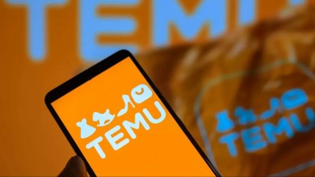 Aman dikkat, kişisel verileriniz çalınmış olabilir! Temu'ya rekor ceza - Ekonomi