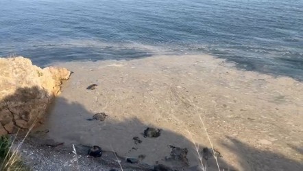 Gemlik'te vatandaşları tedirgin eden görüntü! Denize girilecek yer kalmadı - 3. Sayfa