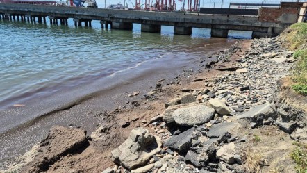 Tekirdağ kıyılarında dikkat çeken görüntü - Gündem