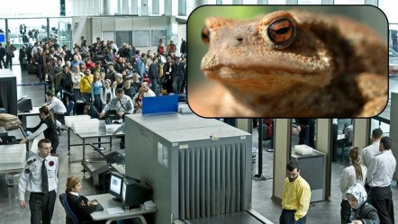 Rus bilim insanının cezası kesildi! Havaalanında kıskıvrak yakalandı - Dünya