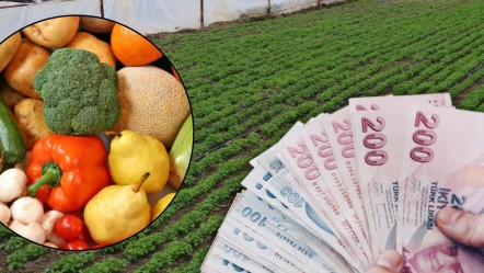 Sebze ve meyve fiyatları alarm veriyor! "Türkiye'de mahsuller tehlikede" diyerek uyardılar - Ekonomi