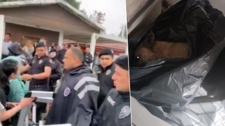 Barınaktaki görüntülere tepki yağıyor! Protestoda gergin anlar - 3. Sayfa