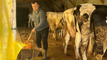 Devlet desteğiyle hayatı değişti! Ayda 45 ton süt üretiyor - Ekonomi