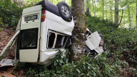Direksiyon kilitlendi, minibüs ormanda uçtu! Çok sayıda yaralı var - Gündem