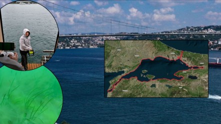 Felaket İstanbul Boğazı'na kadar geldi! Marmara Denizi için son çare: Gerçek dışı bir çözüm yok - Haberler