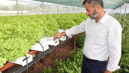 Serasına kurduğu sistemle 70 gün olan hasat süresini 30 güne düşürdü - Ekonomi