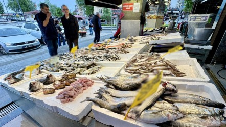 Balık tezgahları şenlendi! İşte mezgit, istavrit ve levreğin fiyatı - Gündem
