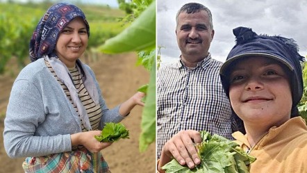 Günlük yevmiyeleri neredeyse ikiye katlandı! Bu yöntemle hem üretici, hem işçi kazanıyor - Ekonomi