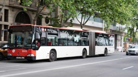 19 Mayıs'ta otobüsler, metrolar ücretsiz mi? 19 Mayıs toplu taşıma ücret bilgileri - Haberler