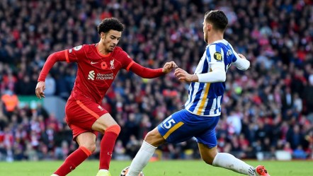 Brighton - Liverpool maçı hangi kanalda, şifresiz mi? Muhtemel ilk 11'ler açıklandı - Haberler