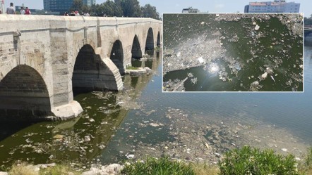 Görenleri şaşkına çevirdi: İzmir Körfezi'nden bile daha kötü durumda - Yaşam