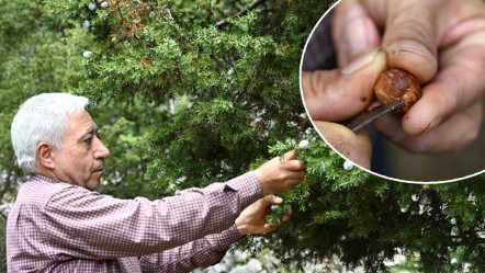 Günde 5 tane yapıp evini geçindiriyor: Tek derdi çırak bulamamak! Ağaç dallarından ürettiğine şaşıracaksınız - Yaşam