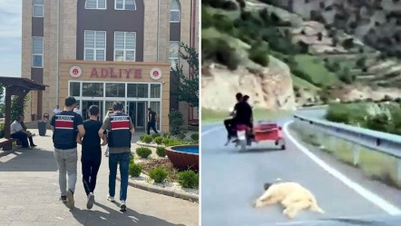 Köpeği motosiklete bağladı, metrelerce sürükledi, serbest bırakıldı - Gündem