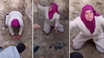 Ölü köpekleri mezardan çıkarmaya kalktılar! Tepki büyük, salgın hastalık alarmı verildi - Gündem