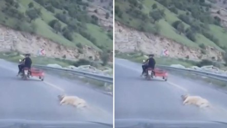 Tepki çeken görüntü! Telef olan köpeği motosikletle sürüklediler - 3. Sayfa